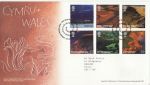 2004-06-15 Wales A British Journey Stamps Llanfair FDC (70202)